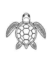 Ocean Animals Coloring Book ECFFCF7E (12 Coloring Pages)