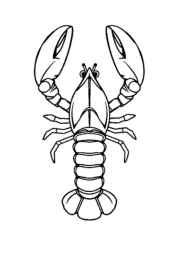 Ocean Animals Coloring Book ECFFCF7E (12 Coloring Pages)