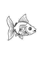 Ocean Animals Coloring Book F60FCFAE (12 Coloring Pages)