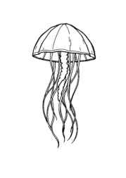 Ocean Animals Coloring Book F60FCFAE (12 Coloring Pages)