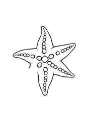 Ocean Animals Coloring Book F60FCFAE (12 Coloring Pages)