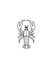 Ocean Animals Coloring Book F60FCFAE (12 Coloring Pages)