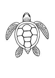 Ocean Animals Coloring Book F60FCFAE (12 Coloring Pages)