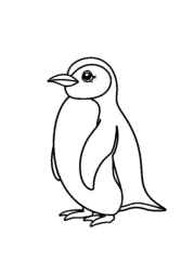 Penguins Coloring Book 0569BB6E (12 Coloring Pages)