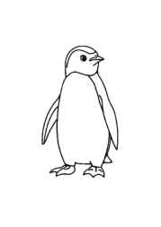Penguins Coloring Book 0569BB6E (12 Coloring Pages)