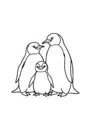 Penguins Coloring Book 0569BB6E (12 Coloring Pages)