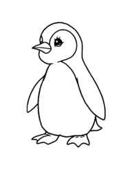 Penguins Coloring Book 0569BB6E (12 Coloring Pages)
