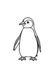 Penguins Coloring Book 0569BB6E (12 Coloring Pages)