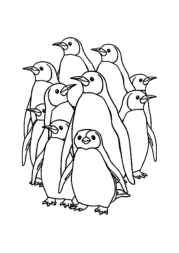 Penguins Coloring Book 57233273 (12 Coloring Pages)