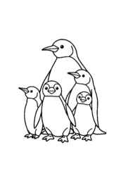 Penguins Coloring Book 57233273 (12 Coloring Pages)