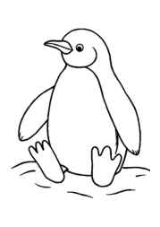 Penguins Coloring Book 57233273 (12 Coloring Pages)