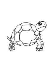 Pokemon Coloring Book 01834FAC (12 Coloring Pages)