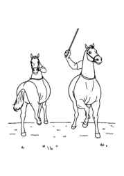 Polo Coloring Book 63C2DAF6 (12 Coloring Pages)