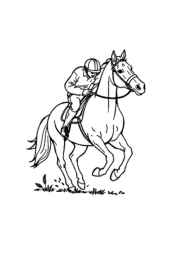 Polo Coloring Book 63C2DAF6 (12 Coloring Pages)