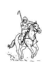 Polo Coloring Book 63C2DAF6 (12 Coloring Pages)