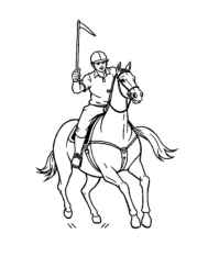 Polo Coloring Book AAF73A52 (12 Coloring Pages)