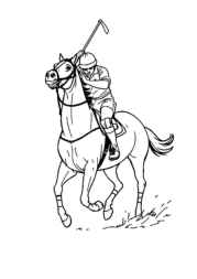 Polo Coloring Book AAF73A52 (12 Coloring Pages)
