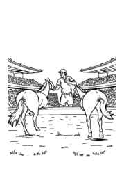 Polo Coloring Book AAF73A52 (12 Coloring Pages)