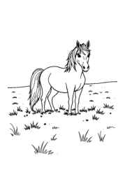 Pony Gaia Coloring Book 0CDDA3A2 (12 Coloring Pages)