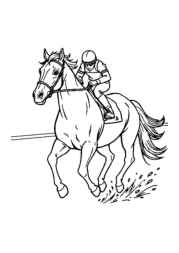 Racing Coloring Book 21417317 (12 Coloring Pages)