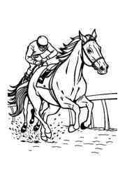 Racing Coloring Book 8E907BCC (12 Coloring Pages)