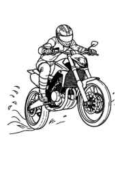 Racing Coloring Book 8E907BCC (12 Coloring Pages)