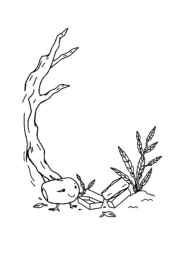 Ramadan Evenings Coloring Book 78C14BED (12 Coloring Pages)