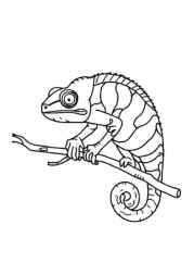 Reptiles Coloring Book 47143349 (12 Coloring Pages)