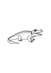 Reptiles Coloring Book 47143349 (12 Coloring Pages)