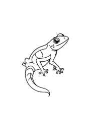 Reptiles Coloring Book 47143349 (12 Coloring Pages)