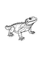 Reptiles Coloring Book 47143349 (12 Coloring Pages)