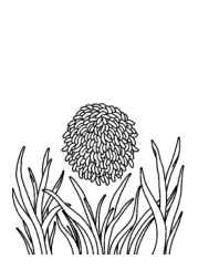 Rice Recipes Coloring Book 95AA5EBE (12 Coloring Pages)