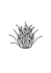 Rice Recipes Coloring Book C9DC1534 (12 Coloring Pages)