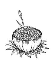 Rice Recipes Coloring Book C9DC1534 (12 Coloring Pages)