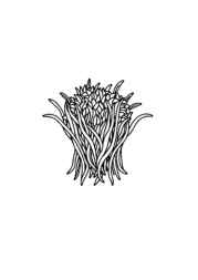 Rice Recipes Coloring Book C9DC1534 (12 Coloring Pages)