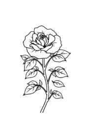 Roses Coloring Book 23C667EB (12 Coloring Pages)