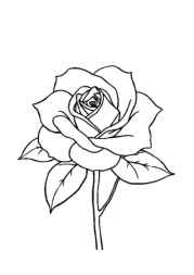 Roses Coloring Book 23C667EB (12 Coloring Pages)