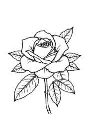 Roses Coloring Book 23C667EB (12 Coloring Pages)