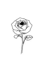 Roses Coloring Book 23C667EB (12 Coloring Pages)