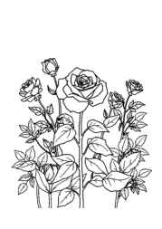 Roses Coloring Book 23C667EB (12 Coloring Pages)