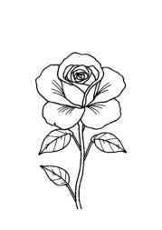 Roses Coloring Book 2FC011EB (12 Coloring Pages)