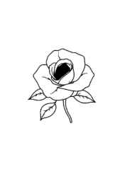Roses Coloring Book 2FC011EB (12 Coloring Pages)
