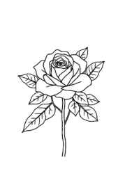 Roses Coloring Book 2FC011EB (12 Coloring Pages)