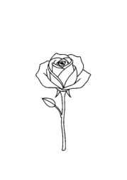 Roses Coloring Book 5B956BCD (12 Coloring Pages)