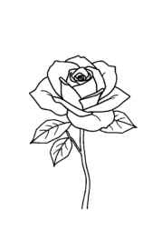 Roses Coloring Book 5B956BCD (12 Coloring Pages)