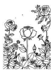 Roses Coloring Book 5B956BCD (12 Coloring Pages)