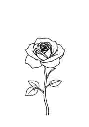 Roses Coloring Book 5B956BCD (12 Coloring Pages)