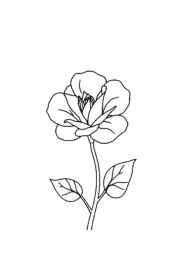 Roses Coloring Book 5B956BCD (12 Coloring Pages)