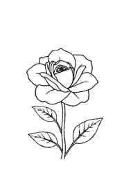 Roses Coloring Book A3D3B083 (12 Coloring Pages)