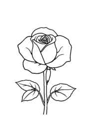Roses Coloring Book A3D3B083 (12 Coloring Pages)